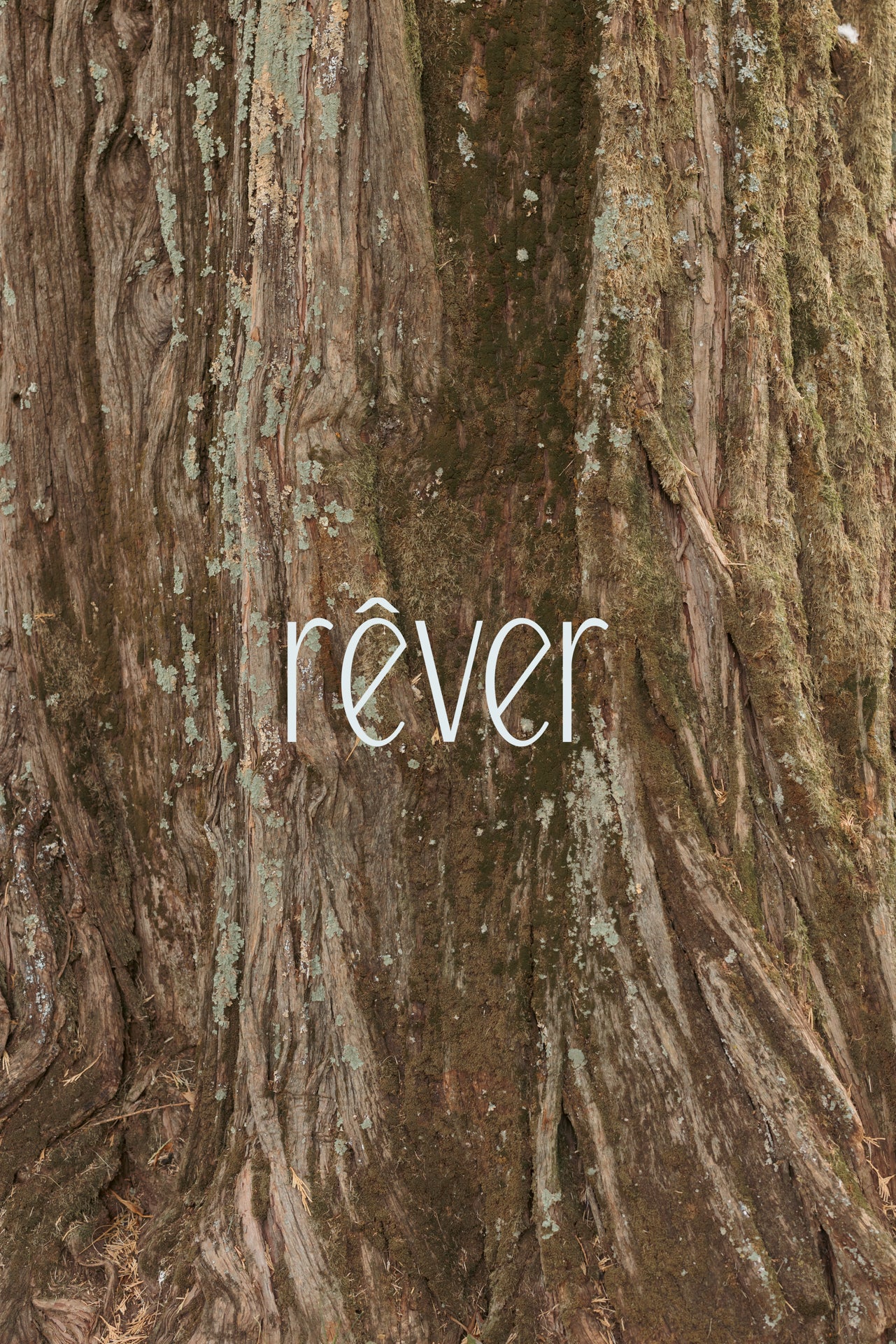 Rever Moda Design